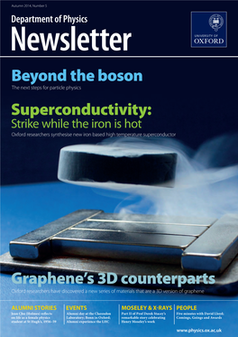 Beyond the Boson Graphene's 3D Counterparts Superconductivity