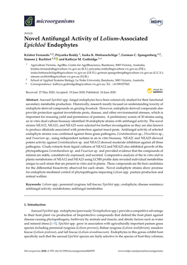 Novel Antifungal Activity of Lolium-Associated Epichloë Endophytes