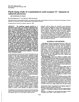 Patch-Clamp Study of Y-Aminobutyric Acid Receptor C1