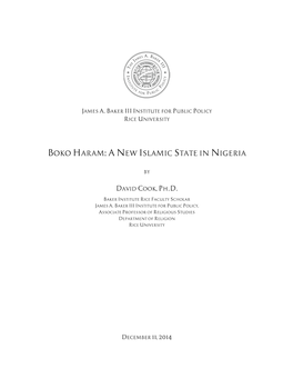 Boko Haram: a New Islamic State in Nigeria