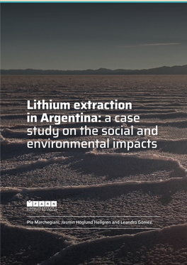 Lithium Extraction in Argentina: a Case Study on the Social and Environmental Impacts