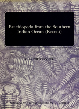 Brachiopoda from the Southern Indian Ocean (Recent)
