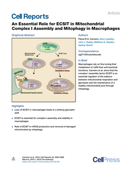 An Essential Role for ECSIT in Mitochondrial Complex I Assembly and Mitophagy in Macrophages