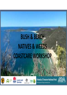 Bush & Beach Natives & Weeds Coastcare Workshop