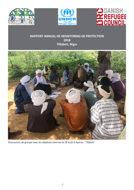 RAPPORT ANNUEL DE MONITORING DE PROTECTION 2018 Tillabéri, Niger