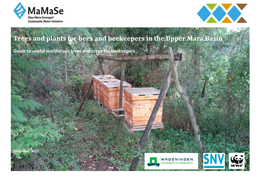 Trees and Plants for Bees and Beekeepers in the Upper Mara Basin