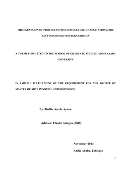 Badilu Assefa Ayana Advisor: Fikadu Adugna (Phd)