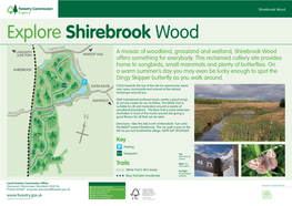Explore Shirebrook Wood