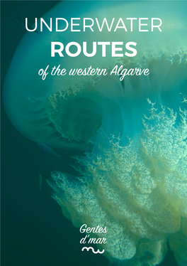 Pdf Underwater Routes