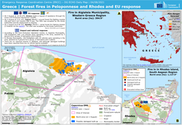 Greece | Forest Fires in Peloponnese and Rhodes and EU Response