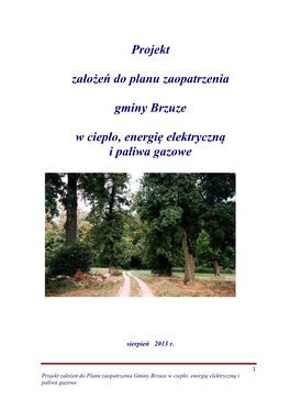 Projekt Założeń Do Planu Zaopatrzenia Gminy Brzuze