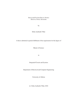 By Erika Azabache Villar a Thesis Submitted in Partial Fulfillment of The