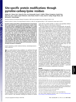 Site-Specific Protein Modifications Through Pyrroline-Carboxy-Lysine Residues