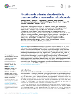 Nicotinamide Adenine Dinucleotide Is Transported Into Mammalian