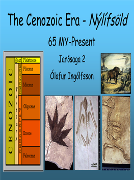 The Cenozoic Era - Nýlífsöld 65 MY-Present Jarðsaga 2 Ólafur Ingólfsson Origin of the Term: the Tertiary Tertiary System