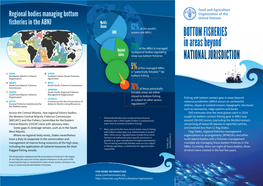 Bottom Fisheries in Areas Beyond National Jurisdiction