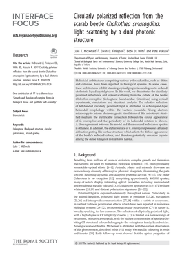 Circularly Polarized Reflection from the Scarab Beetle Chalcothea Smaragdina: Rsfs.Royalsocietypublishing.Org Light Scattering by a Dual Photonic Structure