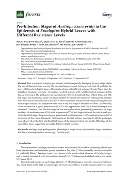 Pre-Infection Stages of Austropuccinia Psidii in the Epidermis of Eucalyptus Hybrid Leaves with Different Resistance Levels