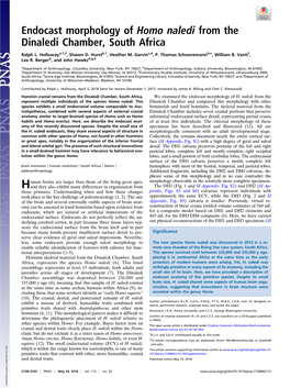 Endocast Morphology of Homo Naledi from the Dinaledi Chamber, South Africa