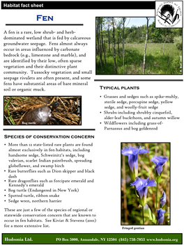 A Fen Is a Rare, Low Shrub- and Herb- Dominated Wetland That Is Fed by Calcareous Groundwater Seepage