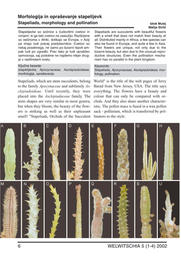 Stapeliads, Morphology and Pollination, Welwitchia 5