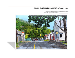 Tunbridge Hazard Mitigation Plan