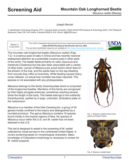 Screening Aid Mountain Oak Longhorned Beetle Massicus Raddei (Blessig)