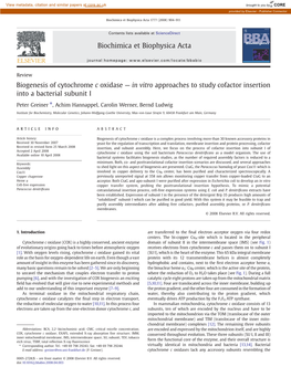 Biogenesis of Cytochrome C Oxidase — in Vitro Approaches to Study Cofactor Insertion Into a Bacterial Subunit I