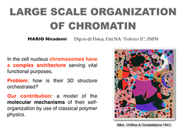 Large Scale Organization of Chromatin