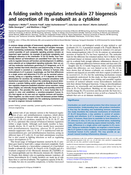 A Folding Switch Regulates Interleukin 27 Biogenesis and Secretion of Its Α-Subunit As a Cytokine