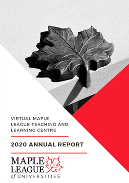 VMLTLC-Annual-Report Website