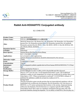 Rabbit Anti-HOXA6/FITC Conjugated Antibody