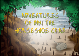 Adventures of Bini the Horseshoe Crab