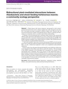 Bidirectional Plant‐Mediated Interactions Between Rhizobacteria and Shoot‐Feeding Herbivorous Insects