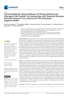 Cinnamaldehyde Induces Release of Cholecystokinin and Glucagon-Like