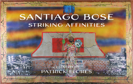 Santiago Bose Striking Affinities Catalogue.Pdf