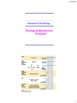 Biological Membranes Transport