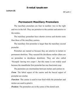 Dental Anatomy Lecture (8) د