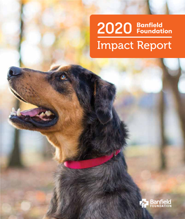 2020 Banfield Foundation Impact Report 2020