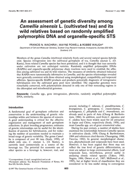 Camel/A Sinensis L. (Cultivated Tea) and Its Wild Relatives Based on Randomly Amplified Polymorphic DNA and Organelle-Specific STS