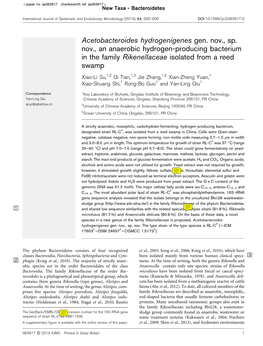 Acetobacteroides Hydrogenigenes Gen. Nov., Sp. Nov., an Anaerobic Hydrogen-Producing Bacterium in the Family Rikenellaceae Isolated from a Reed Swamp