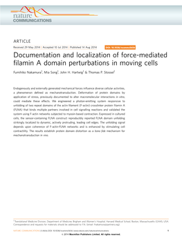 Documentation and Localization of Force-Mediated Filamin a Domain