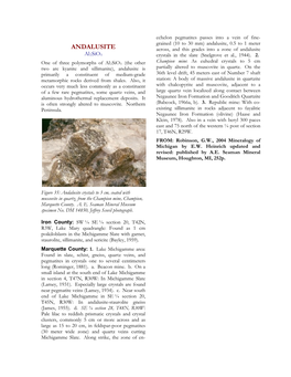 Andalusite, 0.5 to 1 Meter ANDALUSITE Across, and This Grades Into a Zone of Andalusite Al2sio5 Crystals in the Slate (Snelgrove Et Al., 1944)