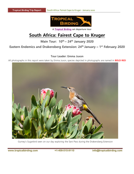 South Africa: Fairest Cape to Kruger - January 2020