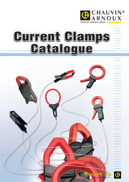Current Clamps Catalogue About the CHAUVIN ARNOUX GROUP