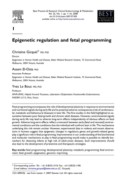 1 Epigenetic Regulation and Fetal Programming