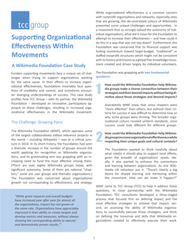 Supporting Organizational Effectiveness Within Movements