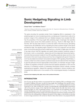 Sonic Hedgehog Signaling in Limb Development