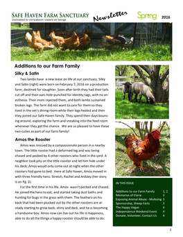 Spring Newsletter 2016