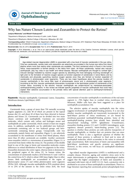 Why Has Nature Chosen Lutein and Zeaxanthin to Protect the Retina?